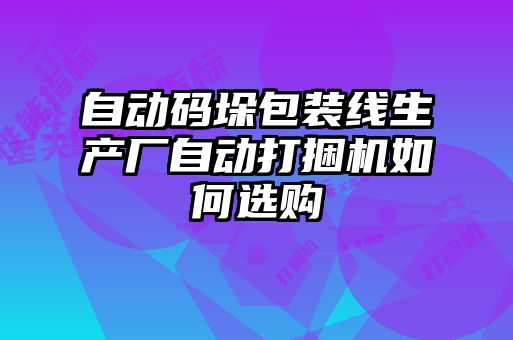 自動(dòng)碼垛包裝線生產(chǎn)廠自動(dòng)打捆機(jī)如何選購