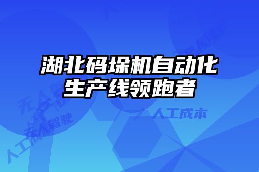 湖北碼垛機(jī)自動(dòng)化生產(chǎn)線(xiàn)領(lǐng)跑者